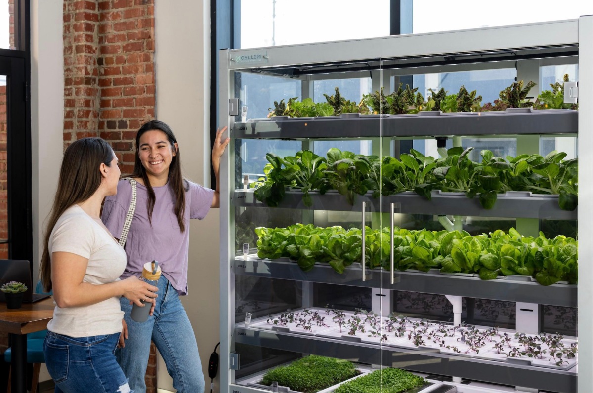 Babylon's innovative self-contained vertical farming system secures $8M in funding