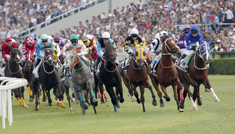 Watch Tjk Tv Live - Horse Racing