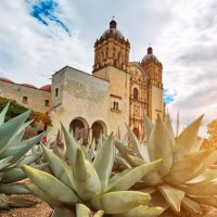 Discover the Best of Oaxaca in 5 Days: Your Ultimate Travel Guide