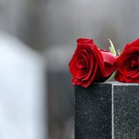 Do ‘Griefbots’ Help Mourners Deal with Loss?