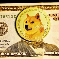Twitter Launches Dog Icon Fueling Dogecoin to the Moon: Here's What You Need to Know