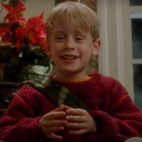 The Wealth of the McCallisters in Home Alone