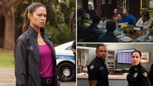 'Blue Bloods,' 'NCIS: Hawai'i' & More of the Most Painful Cancellations of 2024