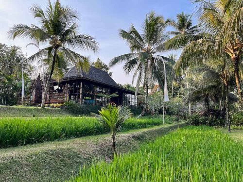 Wellness and Yoga Retreat in Bali